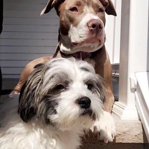 Meet your Posher, Ana